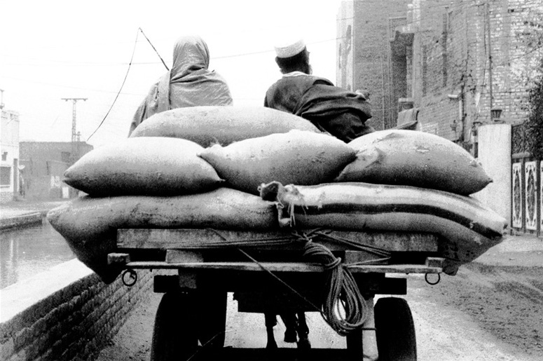Afghan displacement